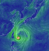 팜모닝 콩·자유게시판 게시글 이미지
