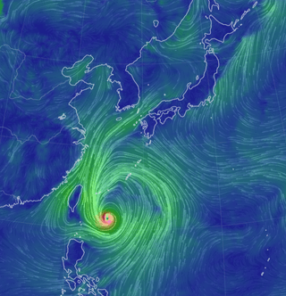 광양57님의 콩 · 자유게시판 작성글 사진