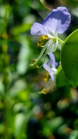 팜모닝 상추·자유게시판 게시글 이미지