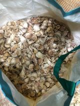 팜모닝 들깨·자유게시판 게시글 이미지