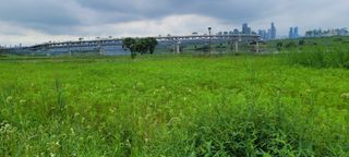 하얀찔레꽃님의 팜모닝 · 출석 작성글 사진