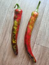 팜모닝 기타작물·병해충상담 게시글 이미지