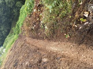 신경애님의 팜모닝 · 출석 작성글 사진