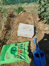 팜모닝 시금치·병해충상담 게시글 이미지