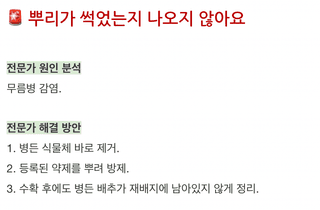 지식in님의 기타작물 · 병해충상담 작성글 사진