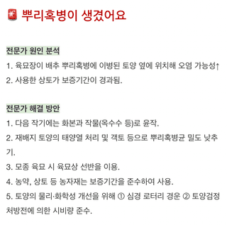 지식in님의 기타작물 · 병해충상담 작성글 사진