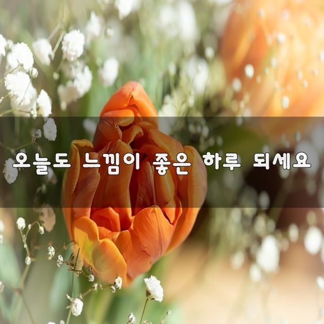 장터 상품 [추석 명절 앞두고 다들 벌초 하셨나요? 기존에 갖고 있] 썸네일