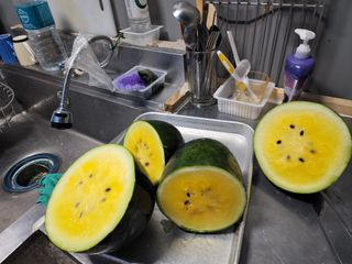 yu정님의 팜모닝 · 출석 작성글 사진