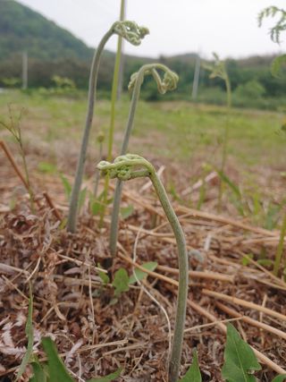 이명선님의 파 · 자유게시판 작성글 사진