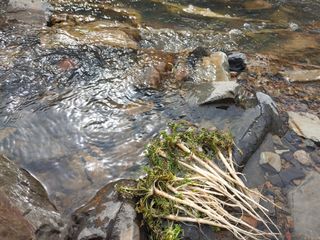 이명선님의 파 · 자유게시판 작성글 사진