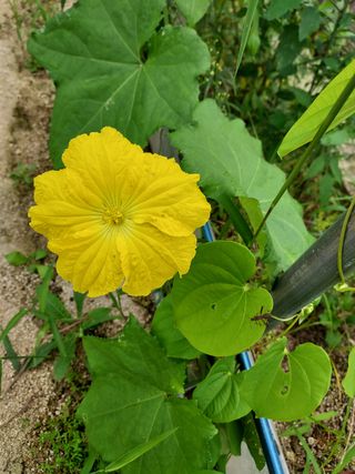 용기님의 파 · 자유게시판 작성글 사진