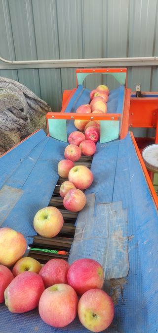 한댕이농원님의 팜모닝 · 출석 작성글 사진