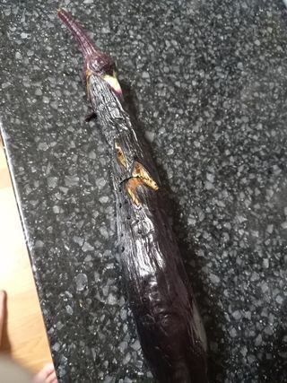 텃밭초보농부님의 고추 · 병해충상담 작성글 사진