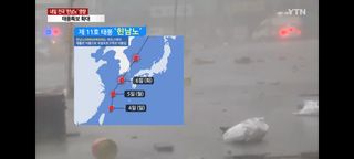 하얀찔레꽃님의 배추 · 일상 작성글 사진