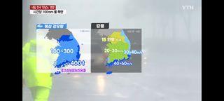 하얀찔레꽃님의 배추 · 일상 작성글 사진