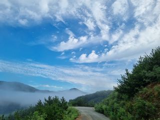 포포나무(박종섭)님의 팜모닝 · 출석 작성글 사진