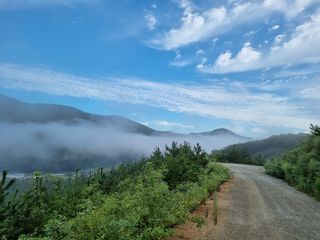 포포나무(박종섭)님의 팜모닝 · 출석 작성글 사진