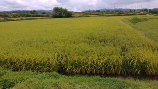 이복길님의 팜모닝 · 출석 작성글 사진