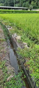 팜모닝 팜모닝·출석 게시글 이미지