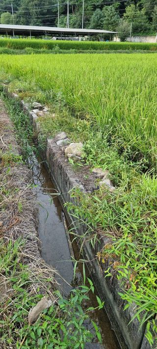 김형균님의 팜모닝 · 출석 작성글 사진