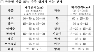 하얀찔레꽃님의 토마토 · 일상 작성글 사진