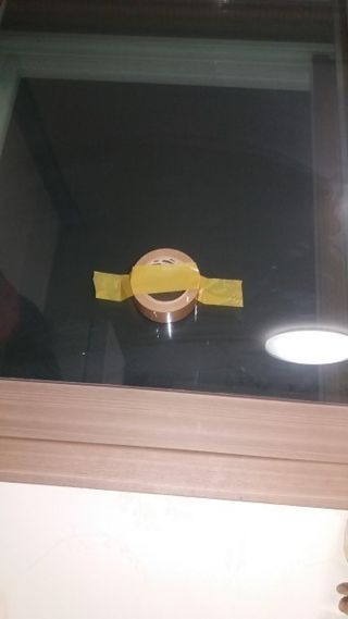 창녕블루베리님의 오이 · 자유게시판 작성글 사진