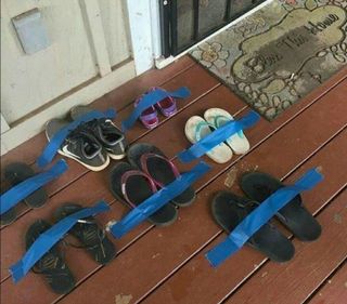 창녕블루베리님의 오이 · 자유게시판 작성글 사진