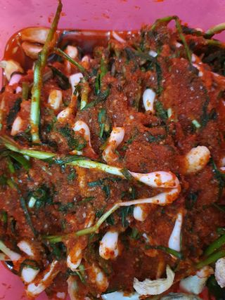 고영희님의 배 · 일상 작성글 사진