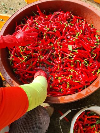 콩26497님의 작성글 사진