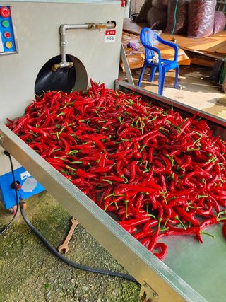 콩26497님의 작성글 사진