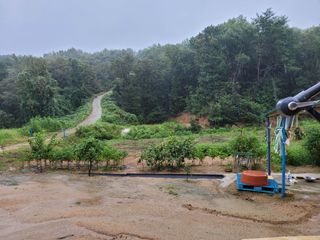 상추8778님의 팜모닝 · 출석 작성글 사진