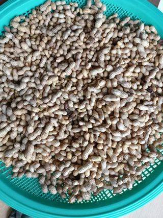 유경희님의 매실 · 자유게시판 작성글 사진