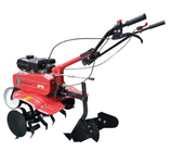 팜모닝 · 게시글 이미지