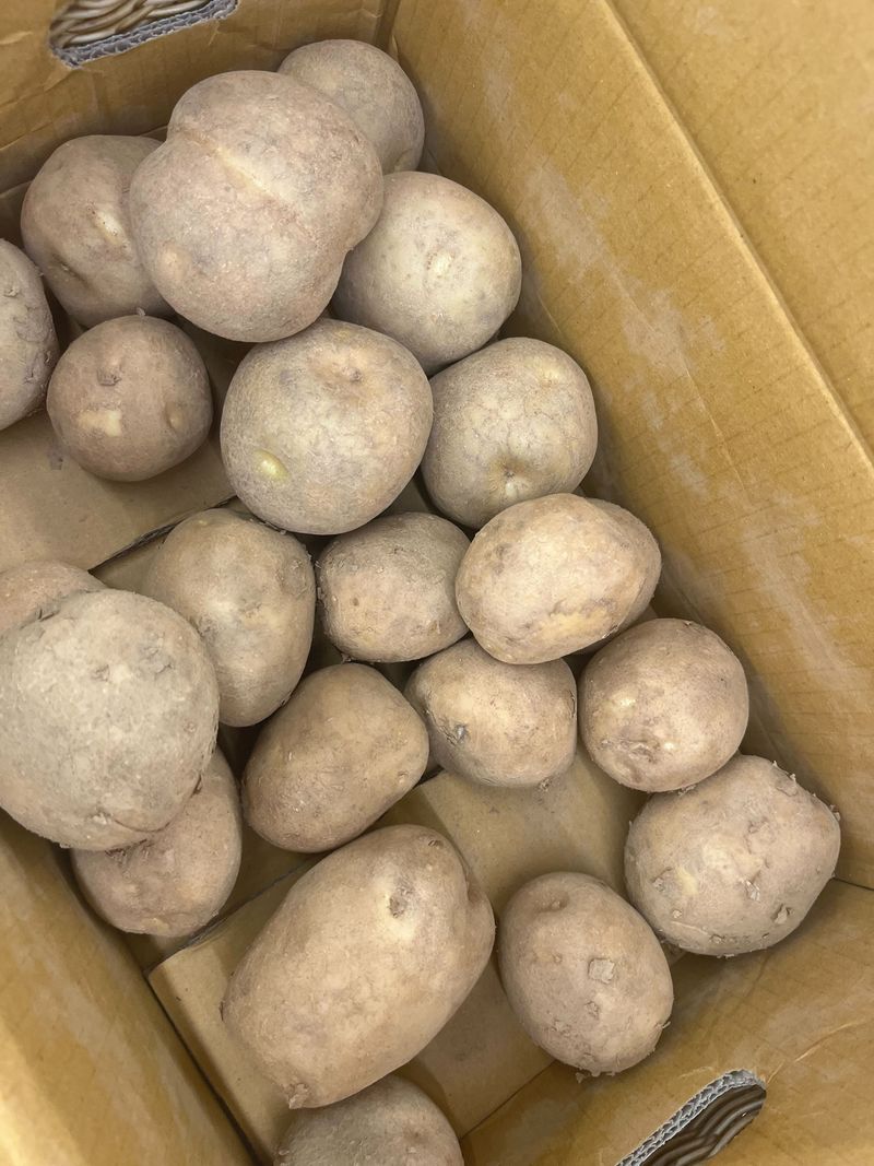 장터 상품 [감자 소량 팝니다. 3kg 13,000원 5kg 20,] 썸네일