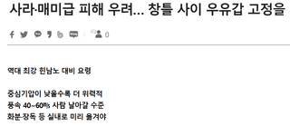 팜꾸러기님의 귤 · 일상 작성글 사진