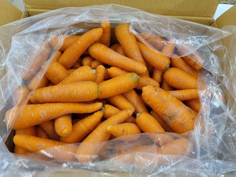 장터 상품 [팜모닝 회원님들 안녕하세요, 여기에 판매글을 많이 올리] 썸네일