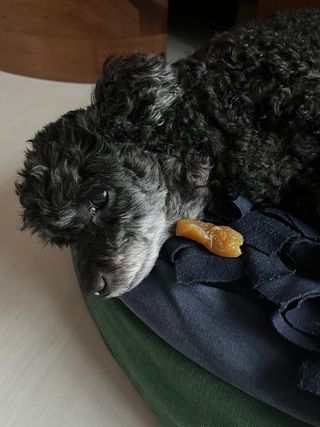 yonghi65님의 양배추 · 자유게시판 작성글 사진