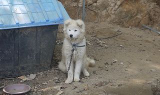 알 수 없음님의 자두 · 자유게시판 작성글 사진