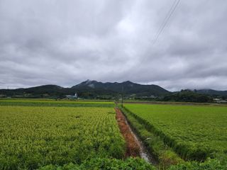 고추22083님의 팜모닝 · 출석 작성글 사진