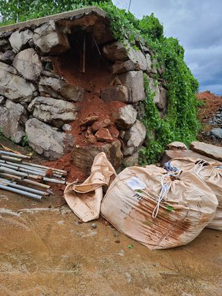 이진숙님의 팜모닝 · 출석 작성글 사진