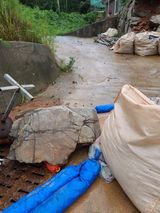 팜모닝 팜모닝·출석 게시글 이미지