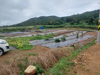신안백수님의 팜모닝 · 출석 작성글 사진