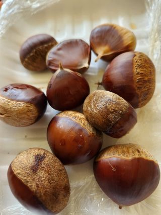 Preotu님의 팜모닝 · 출석 작성글 사진