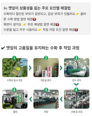 팜모닝님의 들깨 · 농사길잡이 작성글 사진