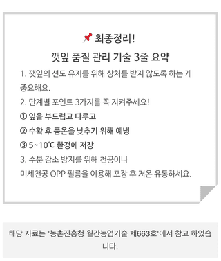 팜모닝님의 들깨 · 농사길잡이 작성글 사진