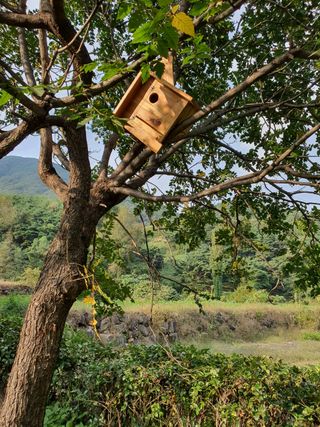 하동매님의 상추 · 자유게시판 작성글 사진