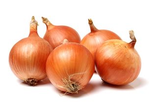 알 수 없음님의 양파 · 시세•판로 작성글 사진