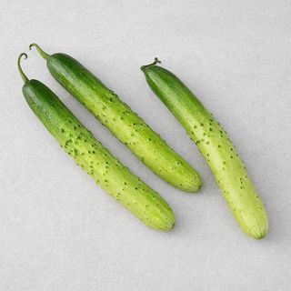 알 수 없음님의 오이 · 시세•판로 작성글 사진