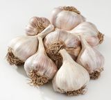 팜모닝 마늘·시세•판로 게시글 이미지