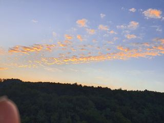 심수보 님의 시금치 · 일상 작성글 사진